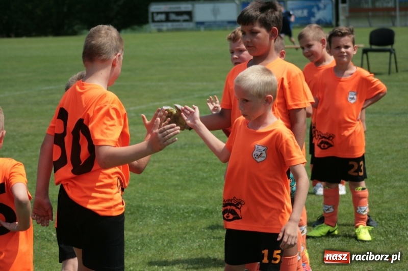 Zdjęcie w galerii na portalu naszraciborz.pl: Żaki Rafako na Międzynarodowym Turnieju Piłkarskim Lhotka Cup 2017 w Ostravie wiadomości z regionu
