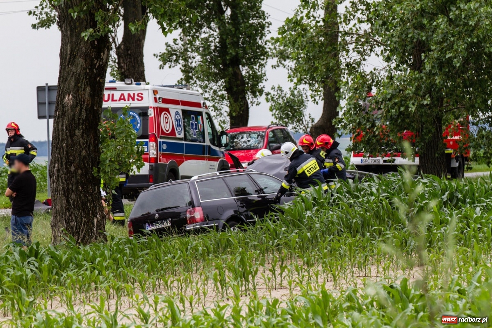 Zdjęcie w galerii na portalu naszraciborz.pl: Zderzenie BMW i passata na trasie Racibórz Sudół - Bojanów wiadomości z regionu
