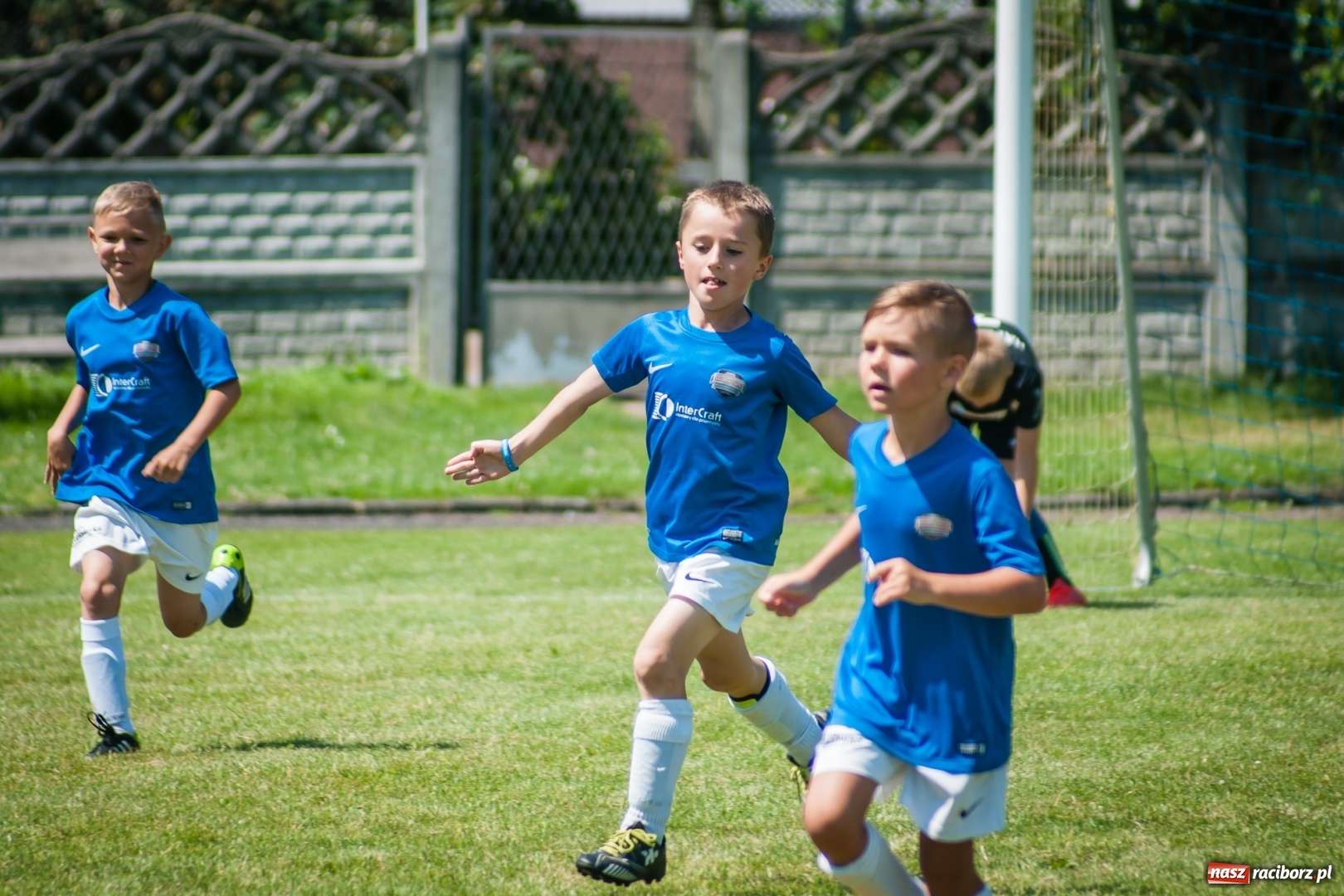 Zdjęcie w galerii na portalu naszraciborz.pl: Tworków Cup 2017. FP Jasienica zwycięska w kategorii żaków. Gospodarze tuż za podium wiadomości z regionu