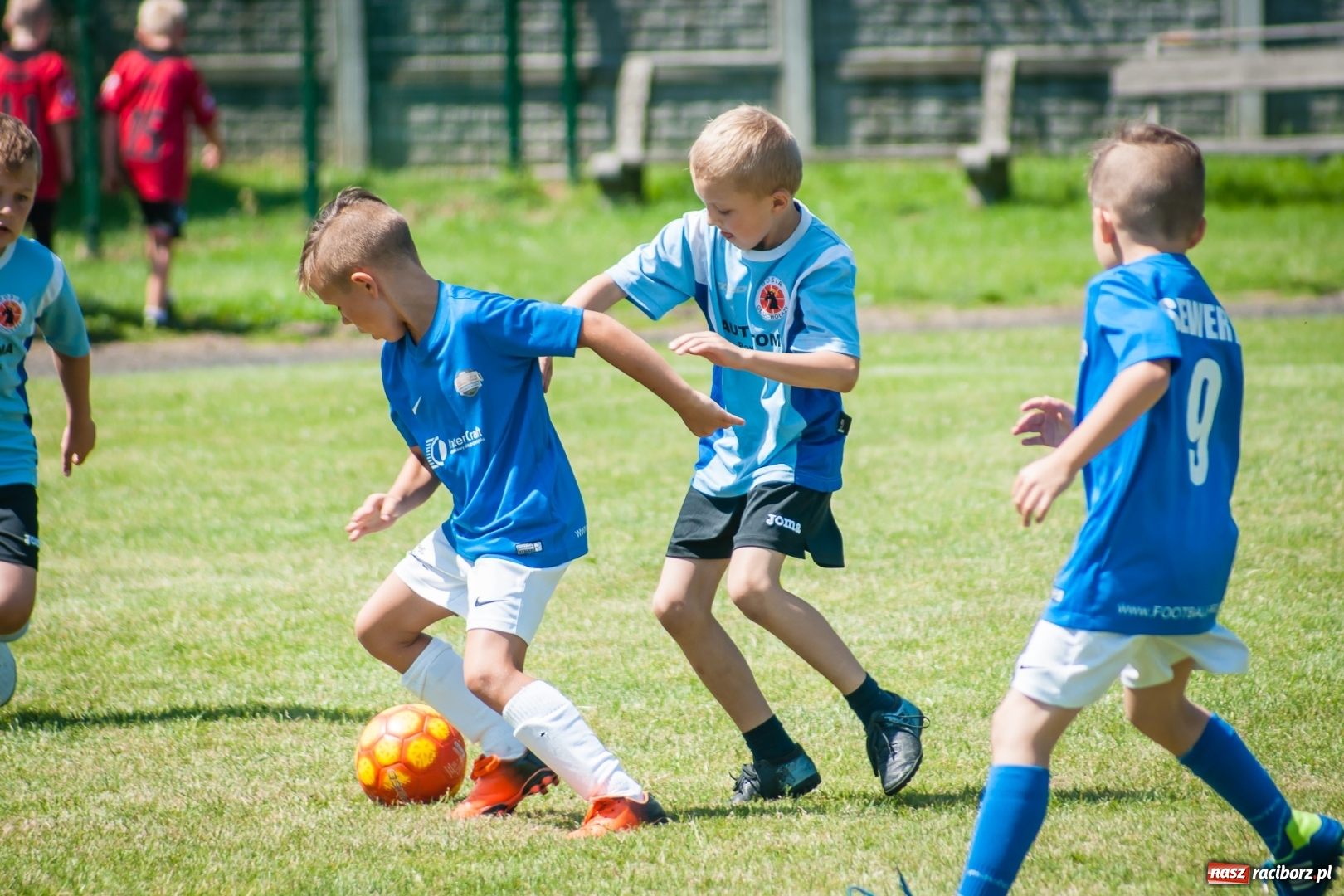 Zdjęcie w galerii na portalu naszraciborz.pl: Tworków Cup 2017. FP Jasienica zwycięska w kategorii żaków. Gospodarze tuż za podium wiadomości z regionu