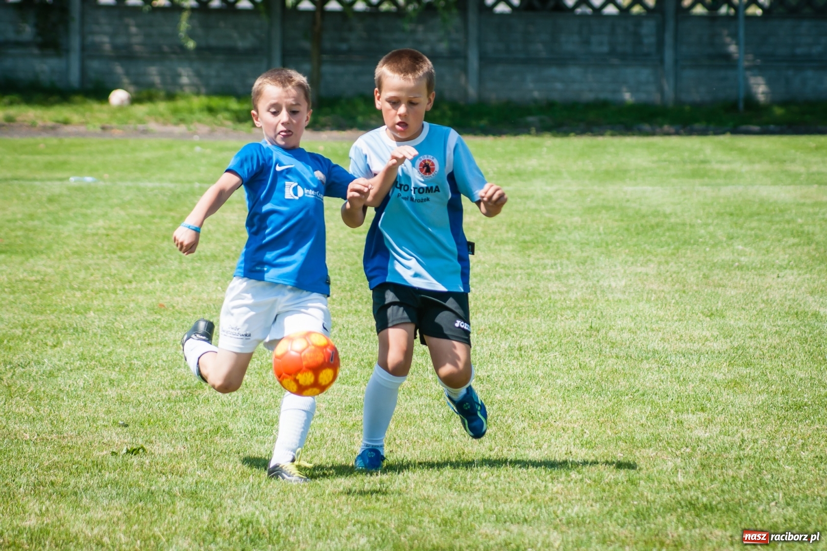 Zdjęcie w galerii na portalu naszraciborz.pl: Tworków Cup 2017. FP Jasienica zwycięska w kategorii żaków. Gospodarze tuż za podium wiadomości z regionu