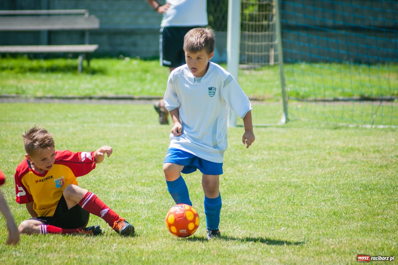 Zdjęcie w galerii na portalu naszraciborz.pl: Tworków Cup 2017. FP Jasienica zwycięska w kategorii żaków. Gospodarze tuż za podium wiadomości z regionu