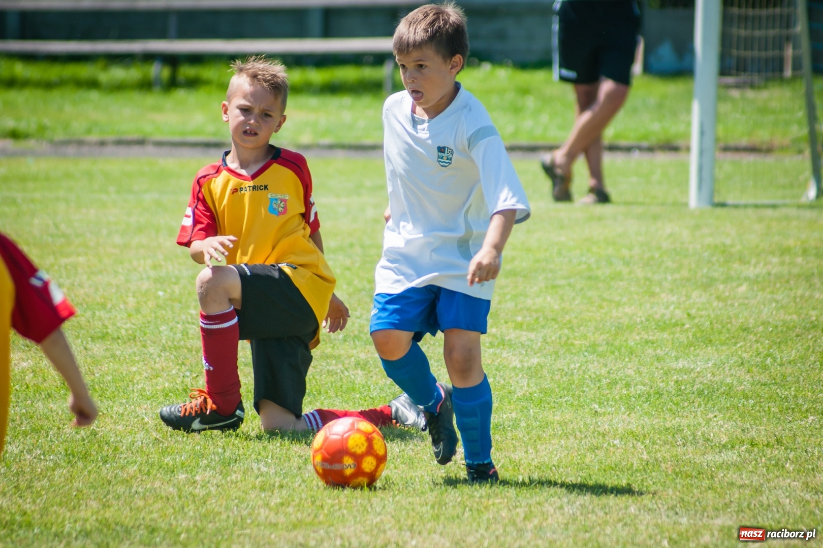 Zdjęcie w galerii na portalu naszraciborz.pl: Tworków Cup 2017. FP Jasienica zwycięska w kategorii żaków. Gospodarze tuż za podium wiadomości z regionu