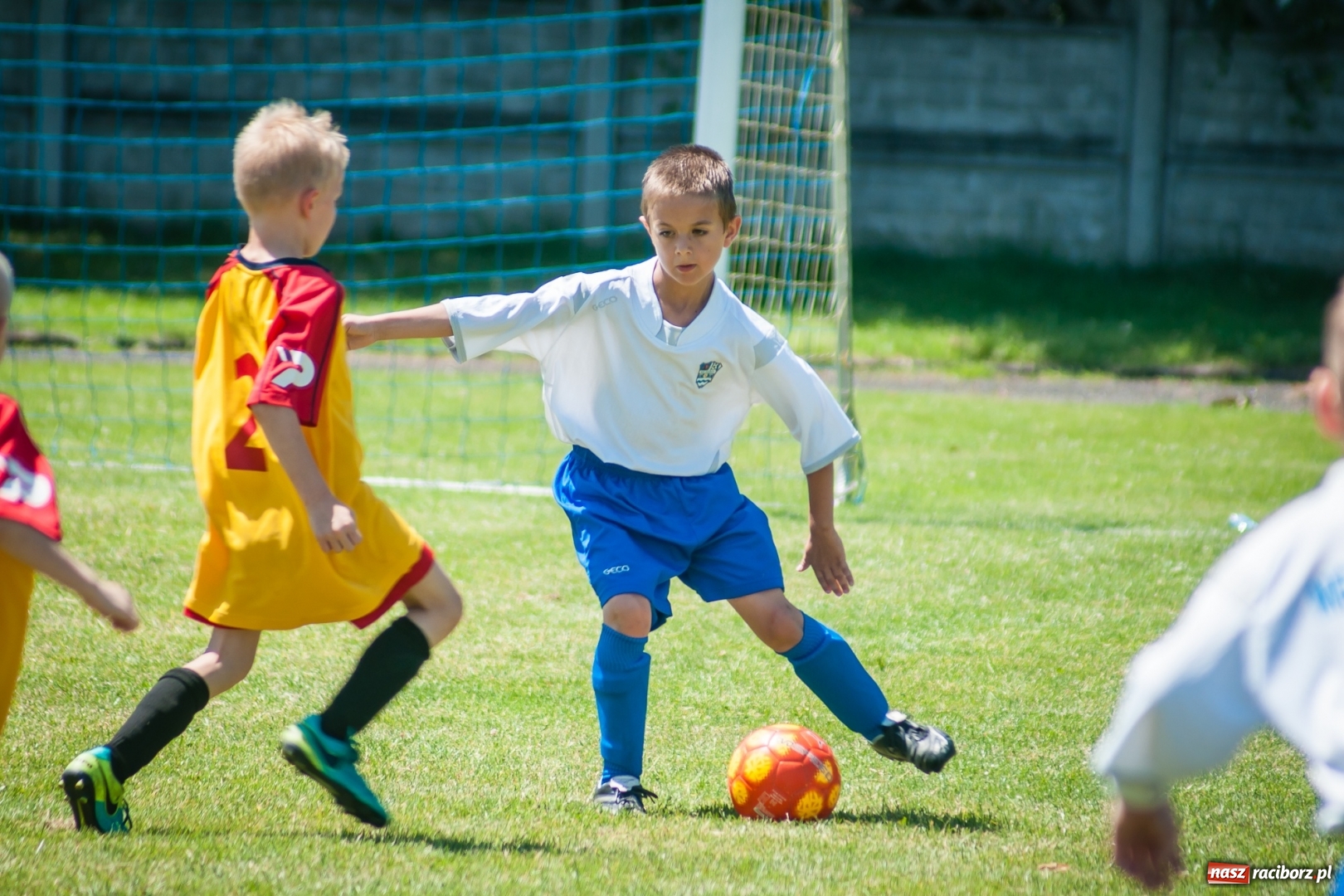 Zdjęcie w galerii na portalu naszraciborz.pl: Tworków Cup 2017. FP Jasienica zwycięska w kategorii żaków. Gospodarze tuż za podium wiadomości z regionu