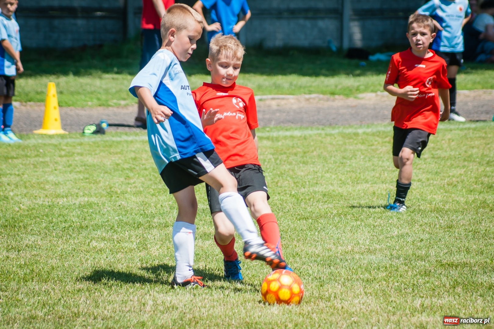Zdjęcie w galerii na portalu naszraciborz.pl: Tworków Cup 2017. FP Jasienica zwycięska w kategorii żaków. Gospodarze tuż za podium wiadomości z regionu