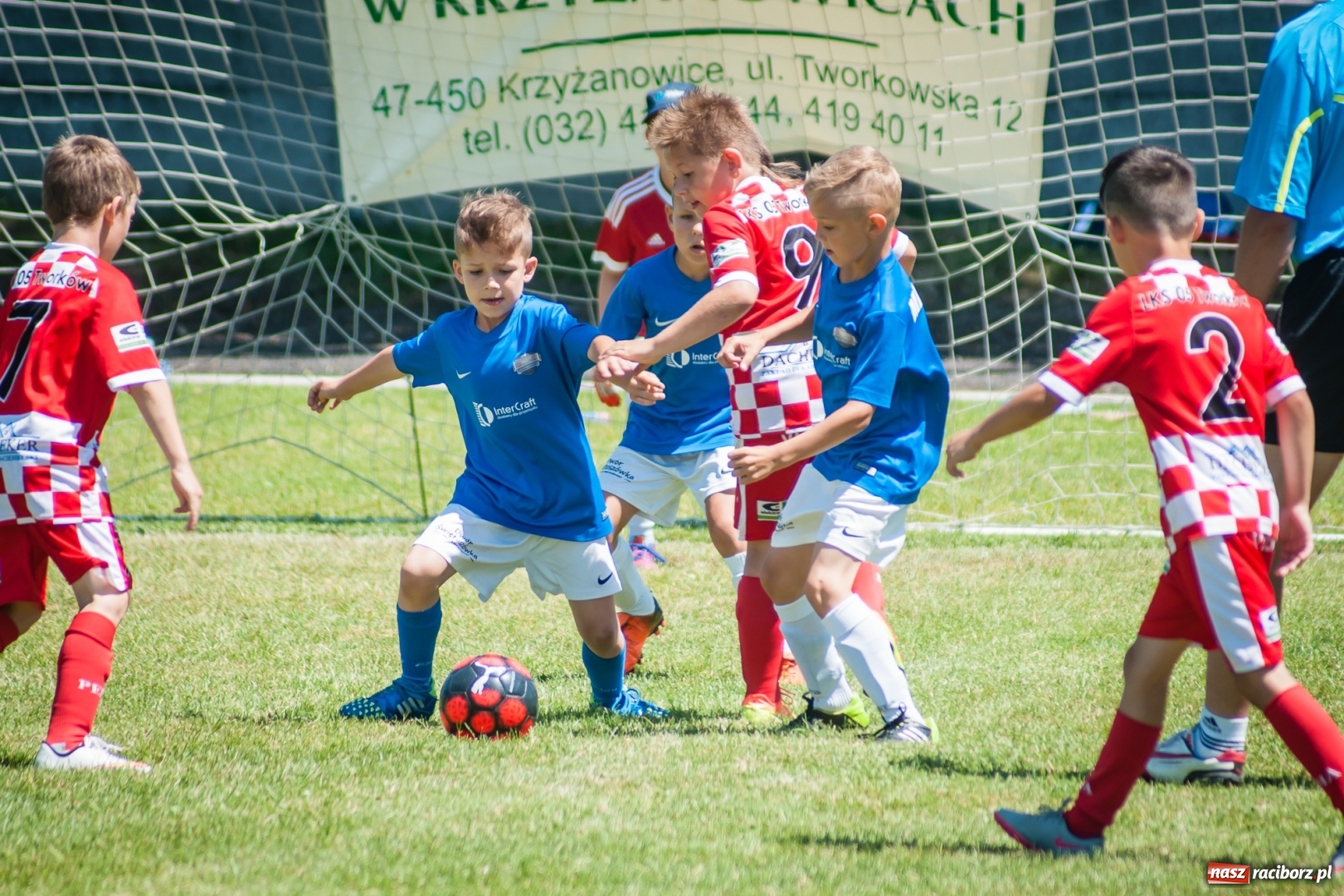 Zdjęcie w galerii na portalu naszraciborz.pl: Tworków Cup 2017. FP Jasienica zwycięska w kategorii żaków. Gospodarze tuż za podium wiadomości z regionu