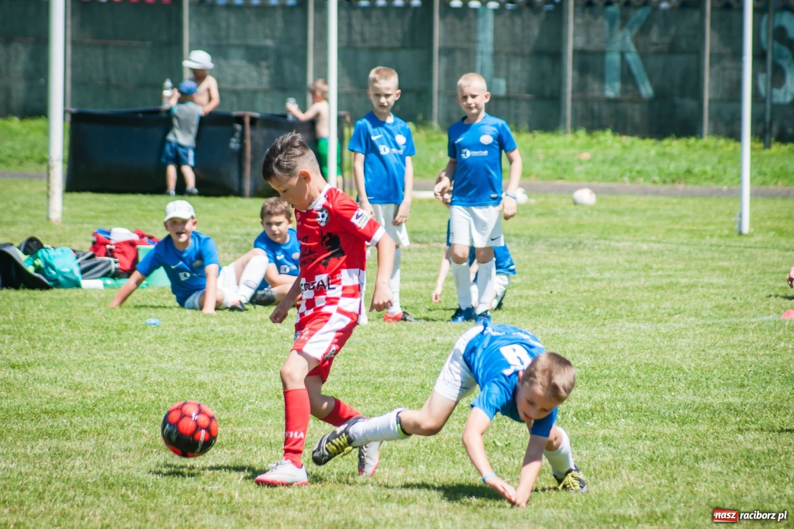 Zdjęcie w galerii na portalu naszraciborz.pl: Tworków Cup 2017. FP Jasienica zwycięska w kategorii żaków. Gospodarze tuż za podium wiadomości z regionu