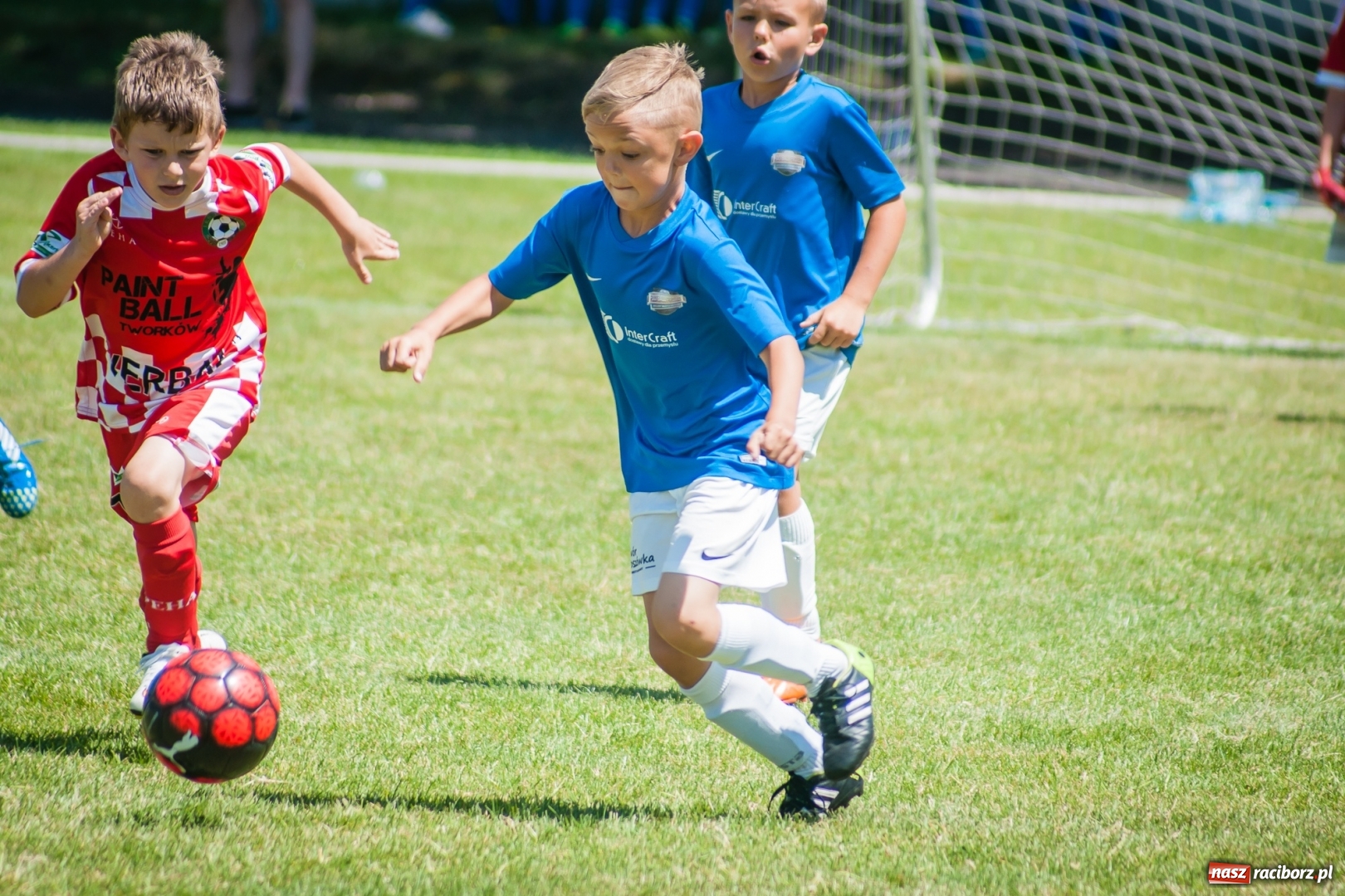 Zdjęcie w galerii na portalu naszraciborz.pl: Tworków Cup 2017. FP Jasienica zwycięska w kategorii żaków. Gospodarze tuż za podium wiadomości z regionu