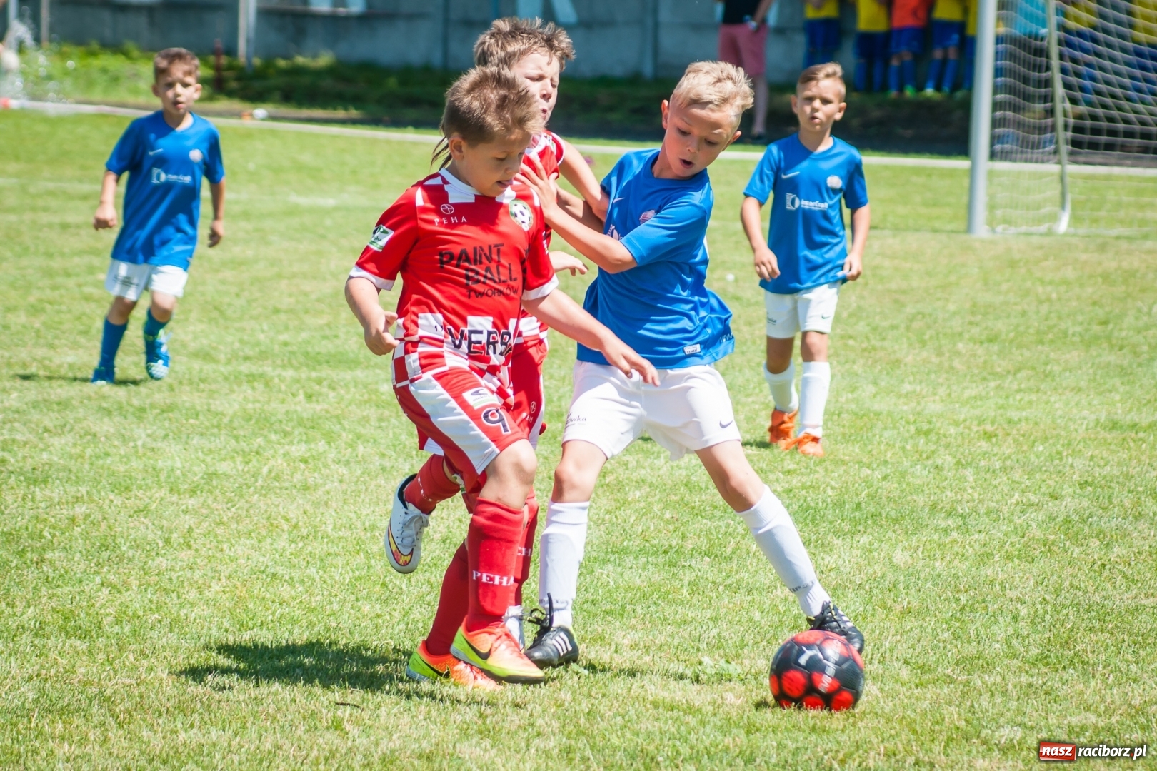 Zdjęcie w galerii na portalu naszraciborz.pl: Tworków Cup 2017. FP Jasienica zwycięska w kategorii żaków. Gospodarze tuż za podium wiadomości z regionu
