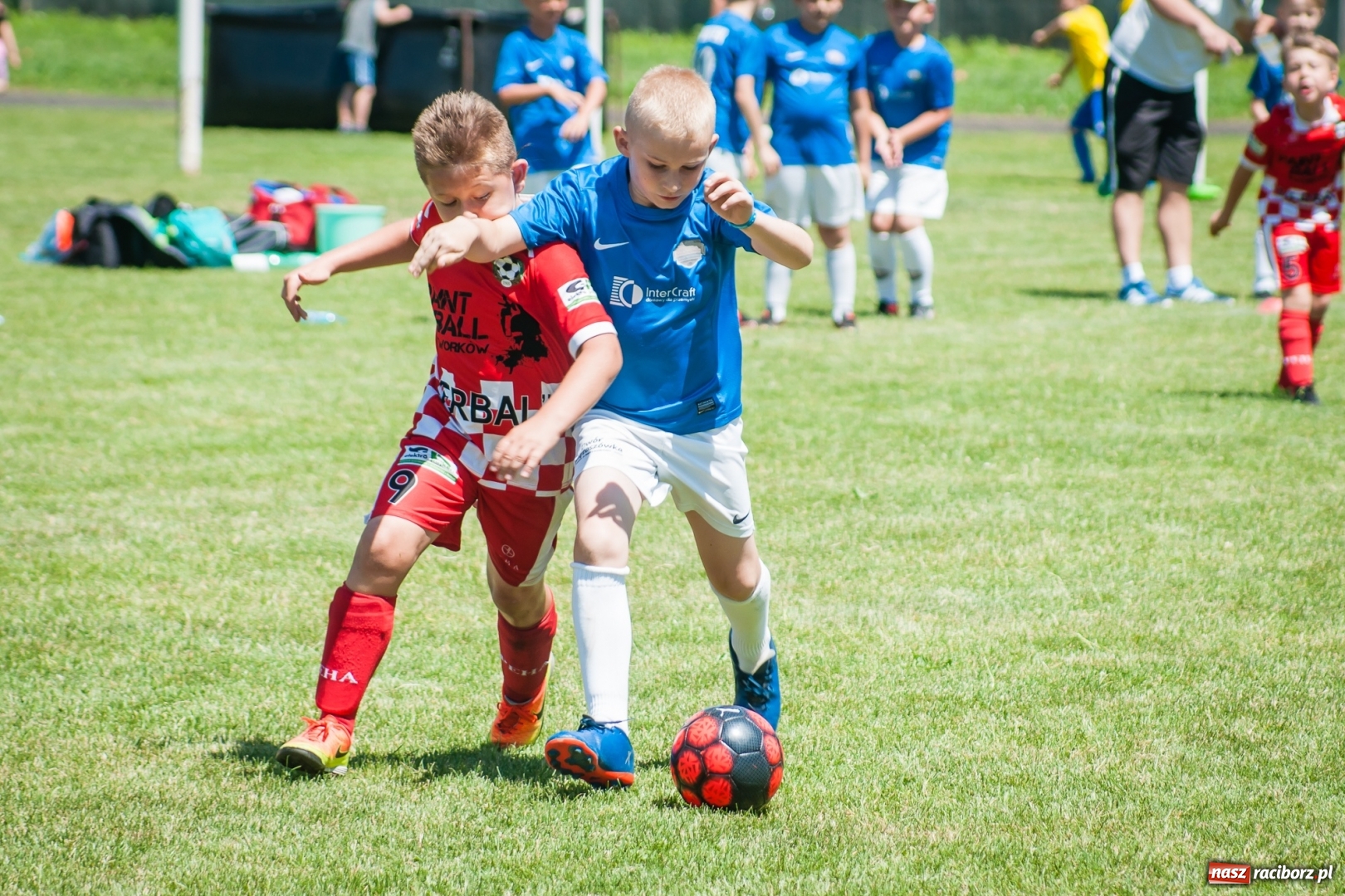 Zdjęcie w galerii na portalu naszraciborz.pl: Tworków Cup 2017. FP Jasienica zwycięska w kategorii żaków. Gospodarze tuż za podium wiadomości z regionu