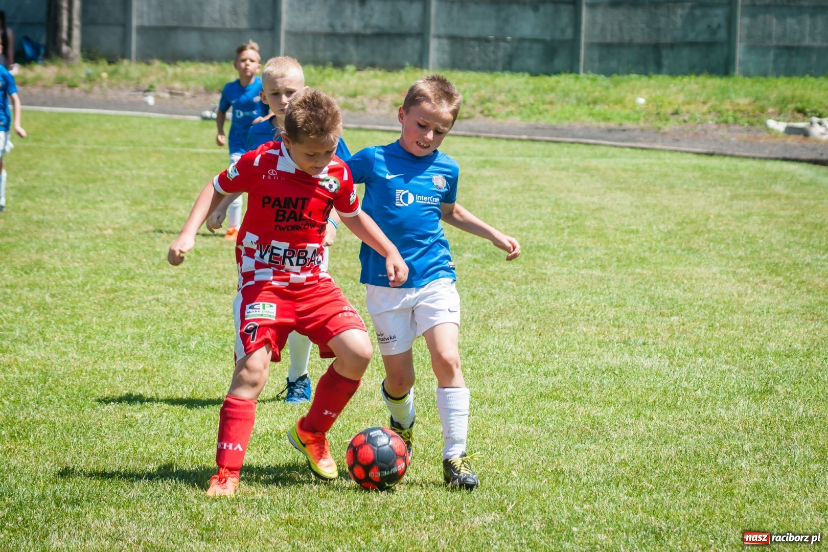 Zdjęcie w galerii na portalu naszraciborz.pl: Tworków Cup 2017. FP Jasienica zwycięska w kategorii żaków. Gospodarze tuż za podium wiadomości z regionu