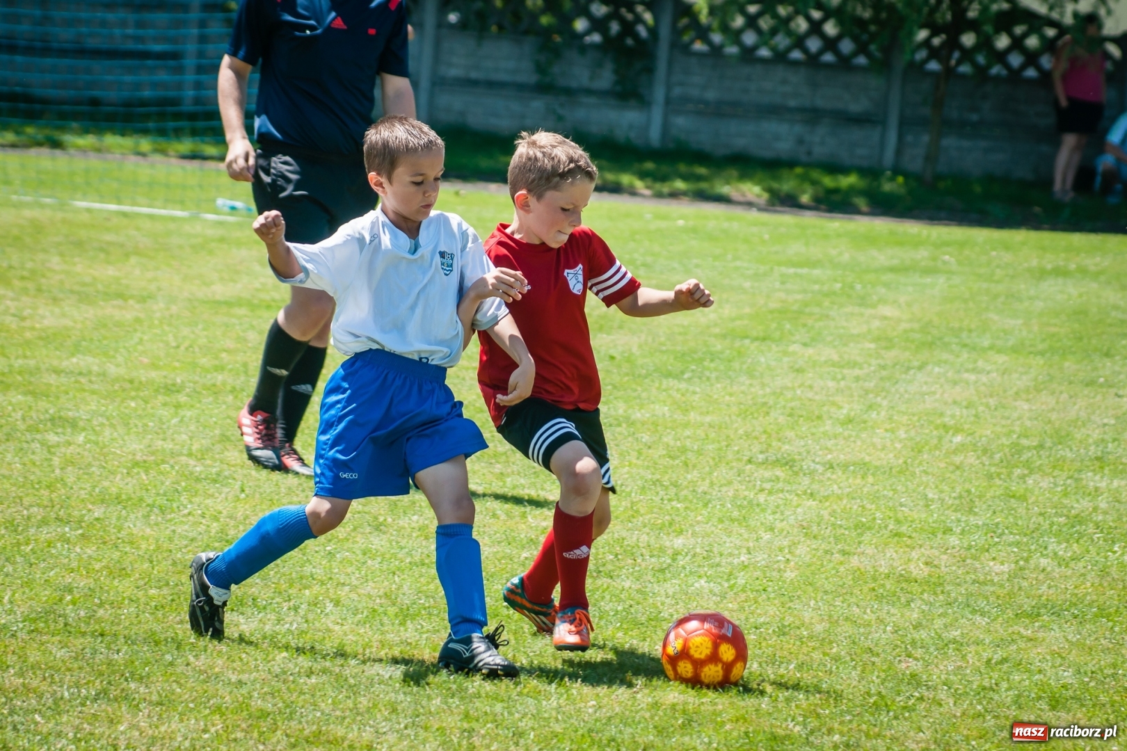 Zdjęcie w galerii na portalu naszraciborz.pl: Tworków Cup 2017. FP Jasienica zwycięska w kategorii żaków. Gospodarze tuż za podium wiadomości z regionu