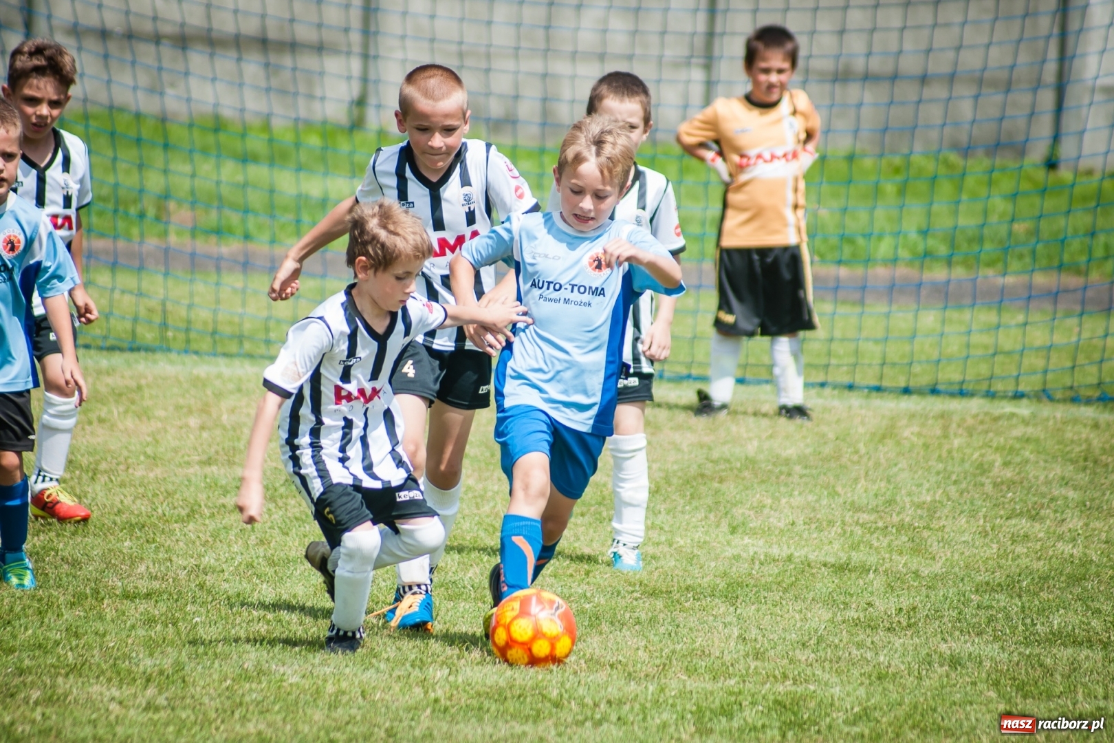 Zdjęcie w galerii na portalu naszraciborz.pl: Tworków Cup 2017. FP Jasienica zwycięska w kategorii żaków. Gospodarze tuż za podium wiadomości z regionu
