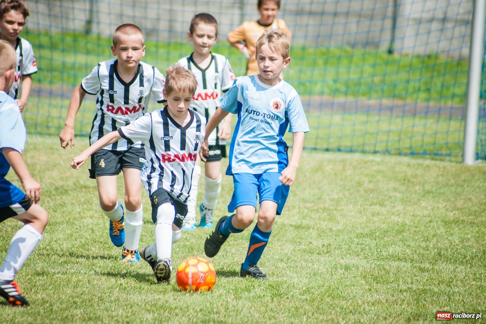 Zdjęcie w galerii na portalu naszraciborz.pl: Tworków Cup 2017. FP Jasienica zwycięska w kategorii żaków. Gospodarze tuż za podium wiadomości z regionu