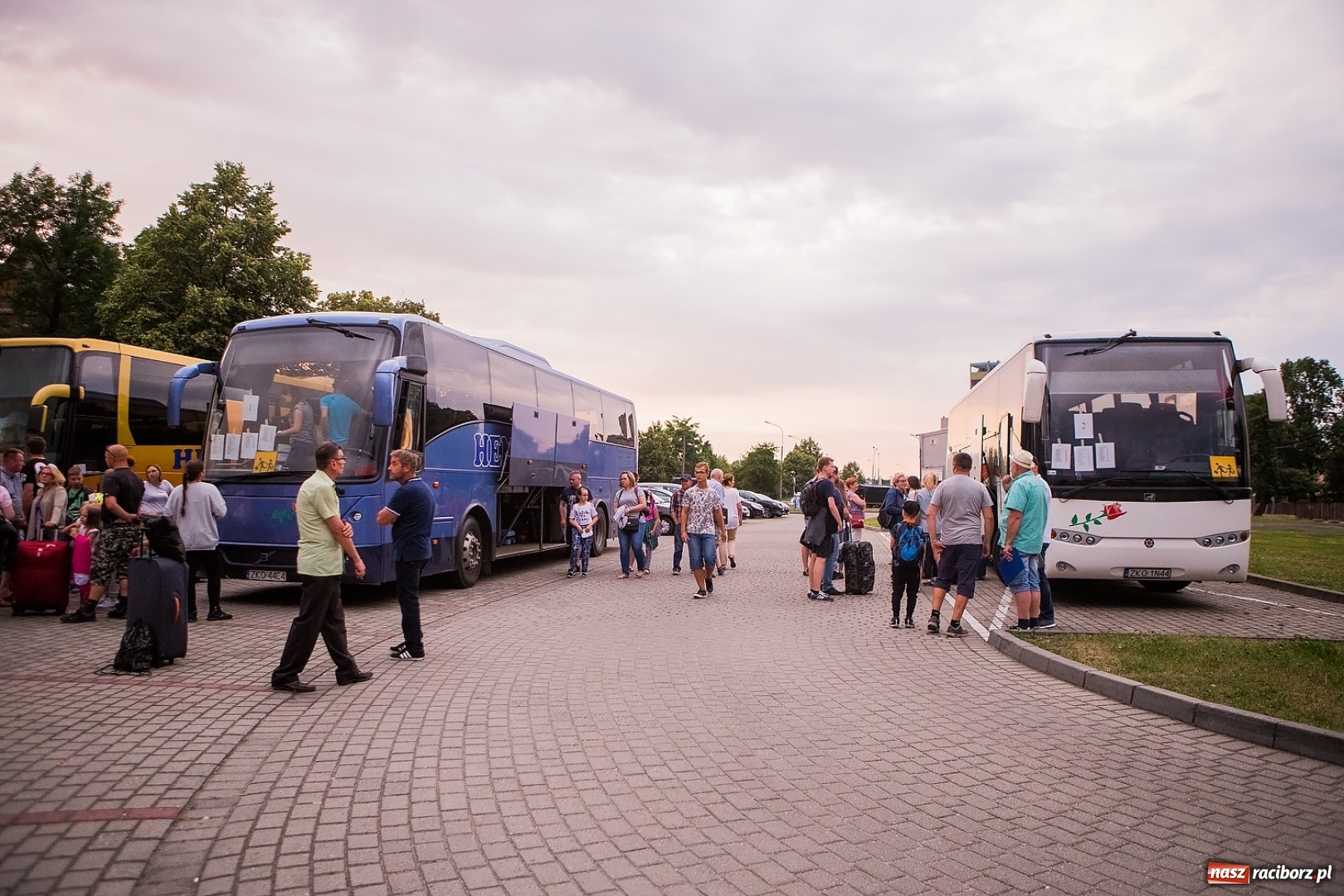 Zdjęcie w galerii na portalu naszraciborz.pl: Pierwszy turnus obozu w Pleśnej już w drodze nad morze wiadomości z regionu