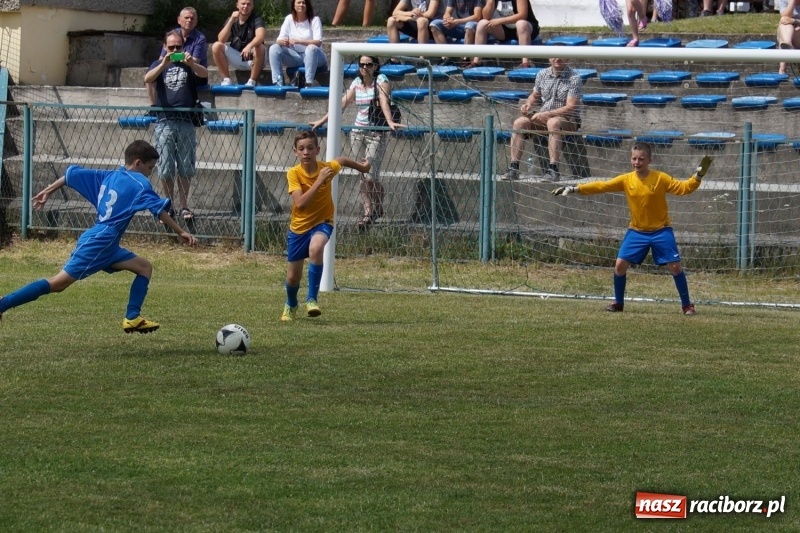 Zdjęcie w galerii na portalu naszraciborz.pl: Górki Cup 2017. Święto piłkarskie w gminie Nędza wiadomości z regionu