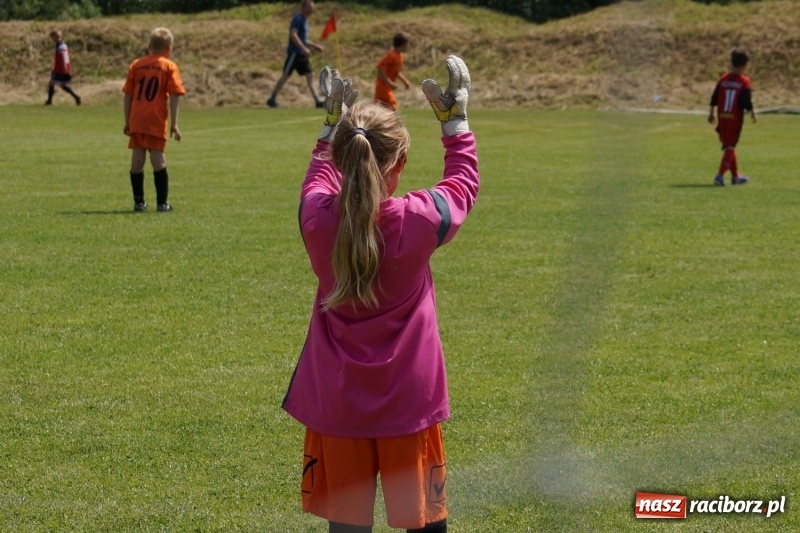 Zdjęcie w galerii na portalu naszraciborz.pl: Górki Cup 2017. Święto piłkarskie w gminie Nędza wiadomości z regionu