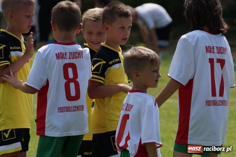 Zdjęcie w galerii na portalu naszraciborz.pl: Górki Cup 2017. Święto piłkarskie w gminie Nędza wiadomości z regionu