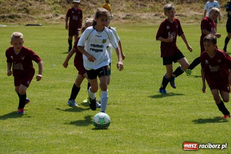 Zdjęcie w galerii na portalu naszraciborz.pl: Górki Cup 2017. Święto piłkarskie w gminie Nędza wiadomości z regionu