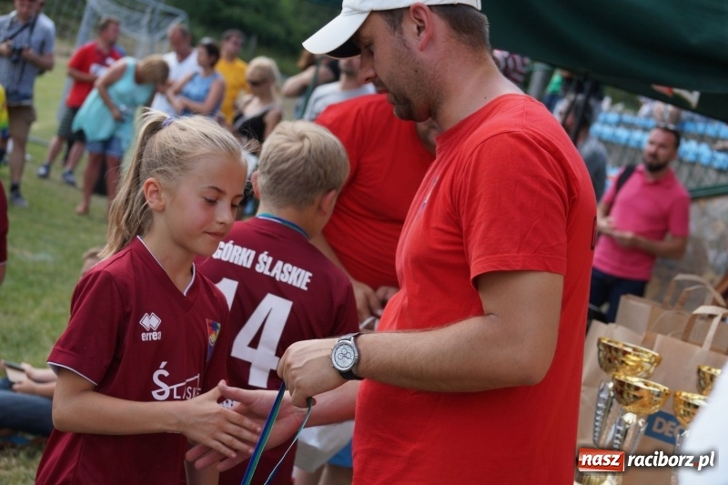 Zdjęcie w galerii na portalu naszraciborz.pl: Górki Cup 2017. Święto piłkarskie w gminie Nędza wiadomości z regionu