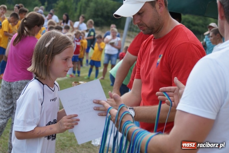 Zdjęcie w galerii na portalu naszraciborz.pl: Górki Cup 2017. Święto piłkarskie w gminie Nędza wiadomości z regionu