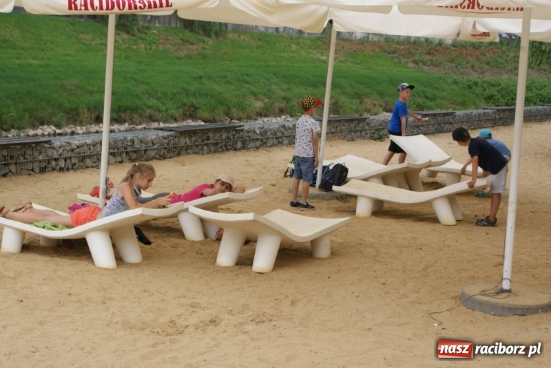 Zdjęcie w galerii na portalu naszraciborz.pl: W klubach Nowoczesnej rozpoczęły się wakacje  wiadomości z regionu