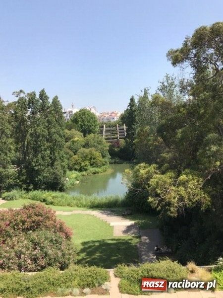 Zdjęcie w galerii na portalu naszraciborz.pl: Nauczyciele z CKZiU nr 1 na szkoleniu w Portugalii  wiadomości z regionu