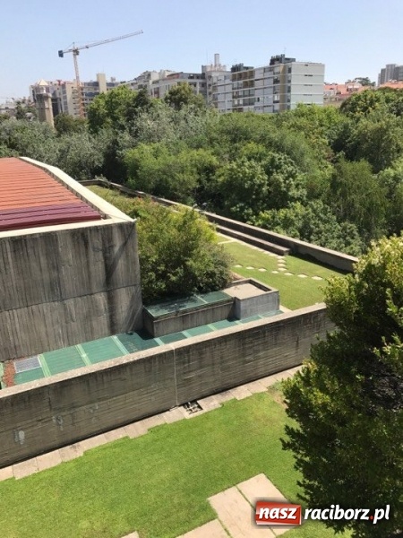Zdjęcie w galerii na portalu naszraciborz.pl: Nauczyciele z CKZiU nr 1 na szkoleniu w Portugalii  wiadomości z regionu