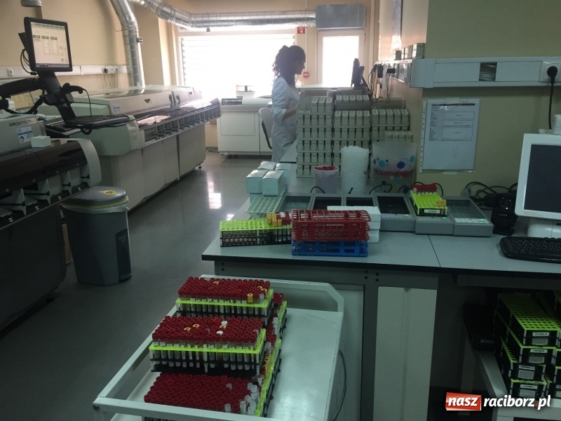 Zdjęcie w galerii na portalu naszraciborz.pl: Nauczyciele z CKZiU nr 1 na szkoleniu w Portugalii  wiadomości z regionu