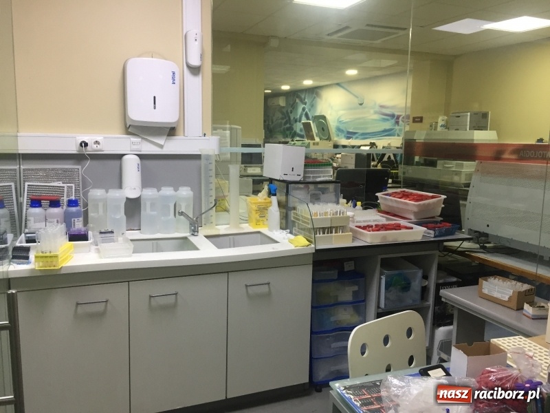 Zdjęcie w galerii na portalu naszraciborz.pl: Nauczyciele z CKZiU nr 1 na szkoleniu w Portugalii  wiadomości z regionu