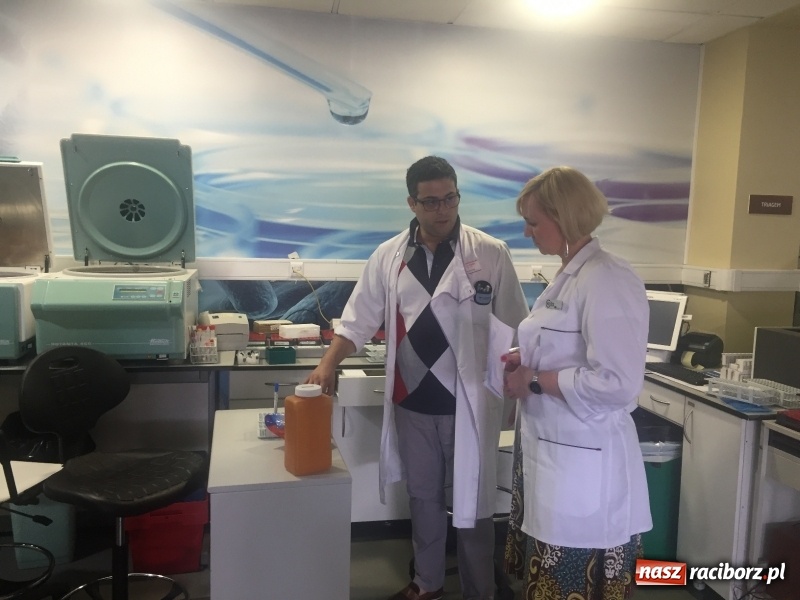 Zdjęcie w galerii na portalu naszraciborz.pl: Nauczyciele z CKZiU nr 1 na szkoleniu w Portugalii  wiadomości z regionu