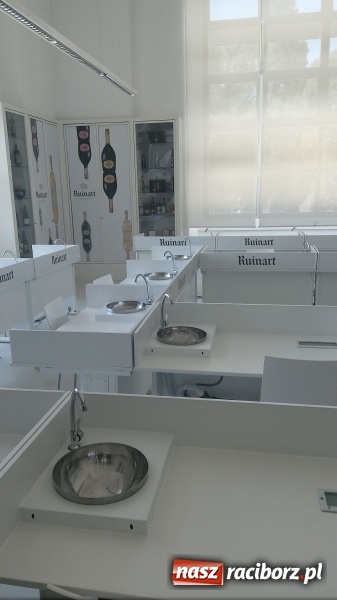 Zdjęcie w galerii na portalu naszraciborz.pl: Nauczyciele z CKZiU nr 1 na szkoleniu w Portugalii  wiadomości z regionu