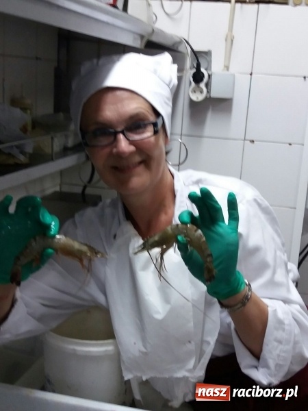 Zdjęcie w galerii na portalu naszraciborz.pl: Nauczyciele z CKZiU nr 1 na szkoleniu w Portugalii  wiadomości z regionu