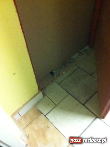 Zdjęcie w galerii na portalu naszraciborz.pl: Tak wygląda urządzenie podsłuchowe, którym posługiwała się Jolanta F. z Szonowic  wiadomości z regionu