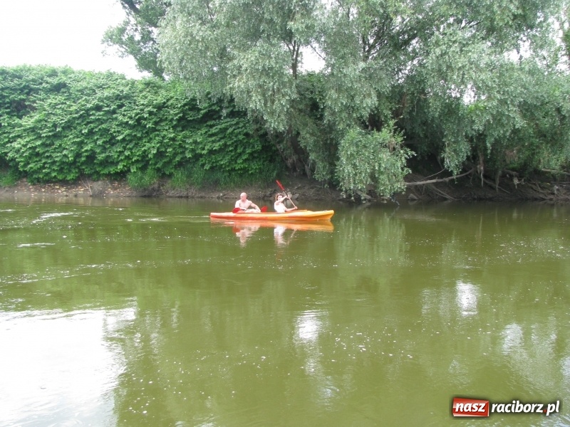 Zdjęcie w galerii na portalu naszraciborz.pl: Kajakowy spływ załogi i klientów Brooklyn Gym wiadomości z regionu