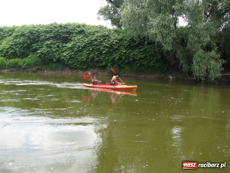 Zdjęcie w galerii na portalu naszraciborz.pl: Kajakowy spływ załogi i klientów Brooklyn Gym wiadomości z regionu