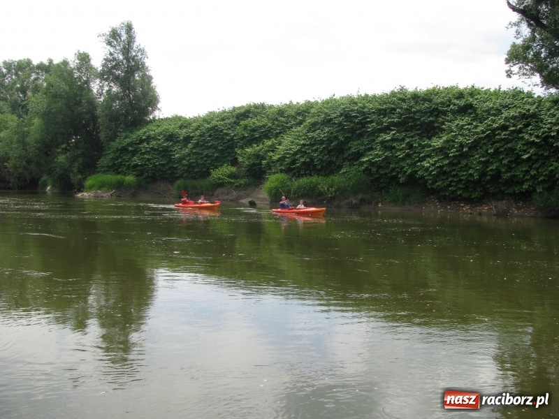Zdjęcie w galerii na portalu naszraciborz.pl: Kajakowy spływ załogi i klientów Brooklyn Gym wiadomości z regionu