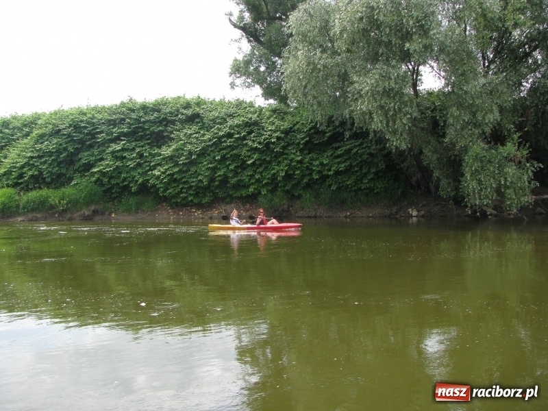 Zdjęcie w galerii na portalu naszraciborz.pl: Kajakowy spływ załogi i klientów Brooklyn Gym wiadomości z regionu