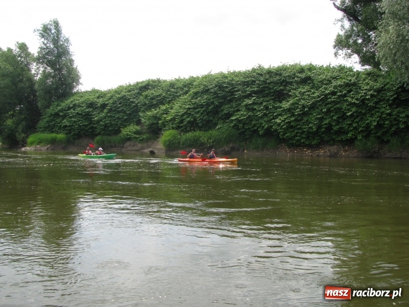 Zdjęcie w galerii na portalu naszraciborz.pl: Kajakowy spływ załogi i klientów Brooklyn Gym wiadomości z regionu