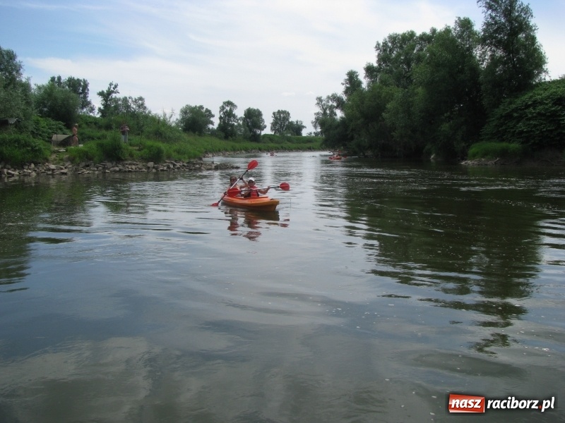 Zdjęcie w galerii na portalu naszraciborz.pl: Kajakowy spływ załogi i klientów Brooklyn Gym wiadomości z regionu