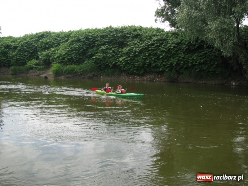 Zdjęcie w galerii na portalu naszraciborz.pl: Kajakowy spływ załogi i klientów Brooklyn Gym wiadomości z regionu