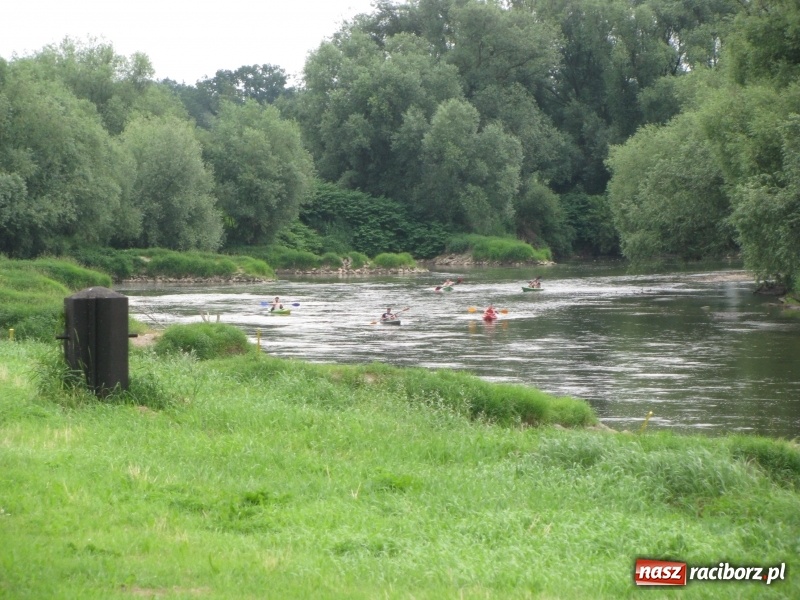 Zdjęcie w galerii na portalu naszraciborz.pl: Kajakowy spływ załogi i klientów Brooklyn Gym wiadomości z regionu