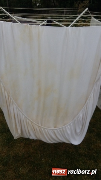 Zdjęcie w galerii na portalu naszraciborz.pl: Jak przyszły upały, to z kranów poleciał żur! wiadomości z regionu