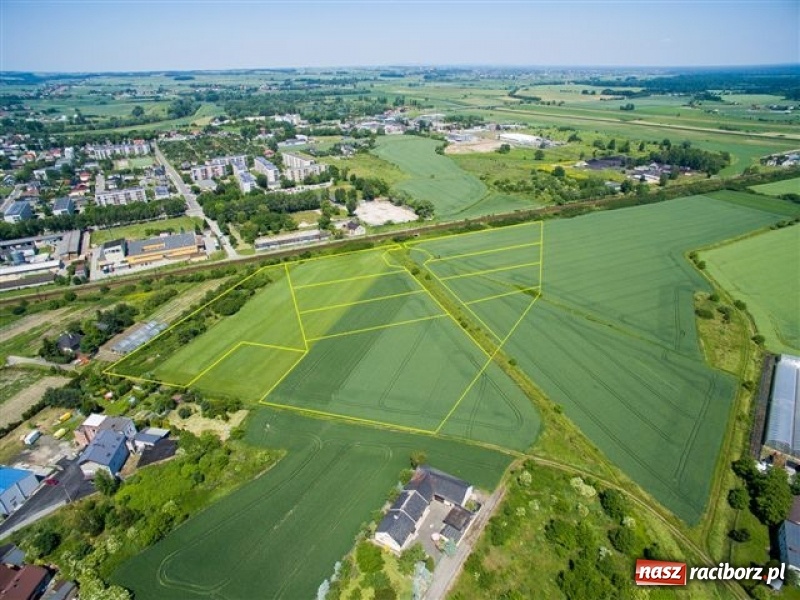 Zdjęcie w galerii na portalu naszraciborz.pl: Jest miejsce pod kolejną strefę gospodarczą w Raciborzu wiadomości z regionu