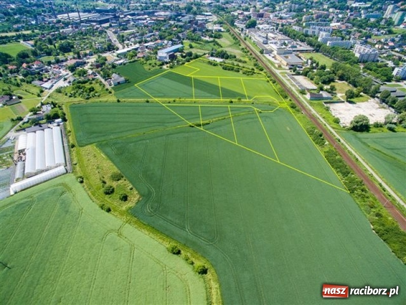 Zdjęcie w galerii na portalu naszraciborz.pl: Jest miejsce pod kolejną strefę gospodarczą w Raciborzu wiadomości z regionu