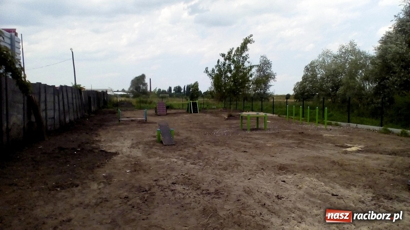 Zdjęcie w galerii na portalu naszraciborz.pl: Na Ostrogu powstał plac dla psów wiadomości z regionu