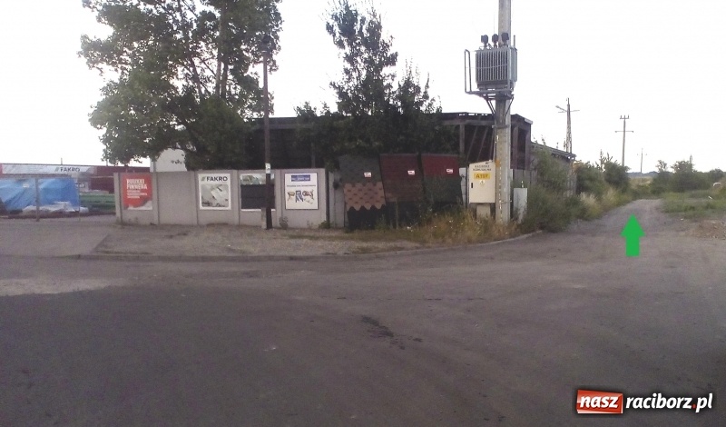 Zdjęcie w galerii na portalu naszraciborz.pl: Na Ostrogu powstał plac dla psów wiadomości z regionu