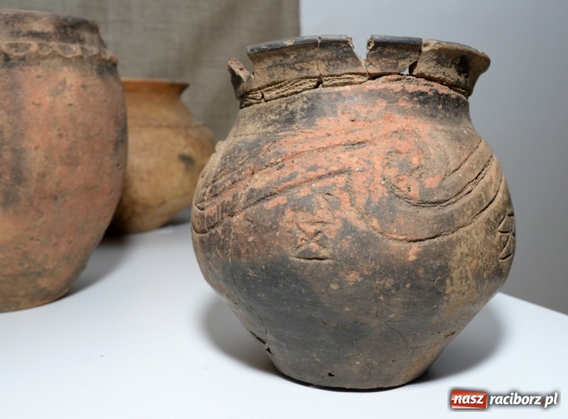 Zdjęcie w galerii na portalu naszraciborz.pl: Domasław – nekropolia arystokracji z wczesnej epoki żelaza w raciborskim muzeum wiadomości z regionu