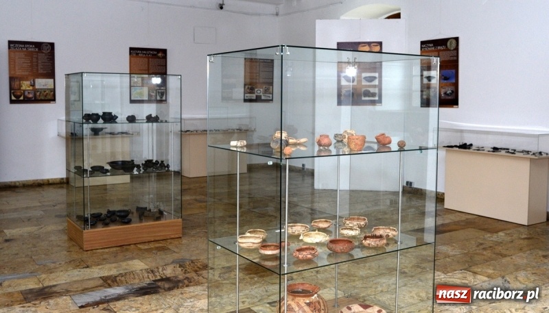 Zdjęcie w galerii na portalu naszraciborz.pl: Domasław – nekropolia arystokracji z wczesnej epoki żelaza w raciborskim muzeum wiadomości z regionu