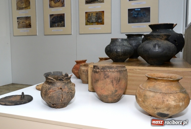 Zdjęcie w galerii na portalu naszraciborz.pl: Domasław – nekropolia arystokracji z wczesnej epoki żelaza w raciborskim muzeum wiadomości z regionu